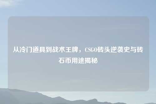 从冷门道具到战术王牌，CSGO砖头逆袭史与砖石币用途揭秘