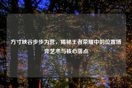 方寸峡谷步步为营，揭秘王者荣耀中的位置博弈艺术与核心落点