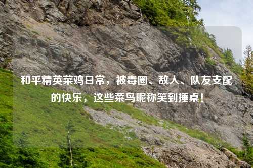 和平精英菜鸡日常，被毒圈、敌人、队友支配的快乐，这些菜鸟昵称笑到捶桌！