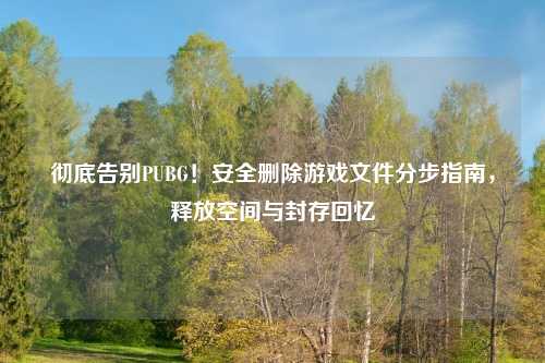 彻底告别PUBG！安全删除游戏文件分步指南，释放空间与封存回忆