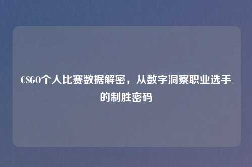 CSGO个人比赛数据解密，从数字洞察职业选手的制胜密码