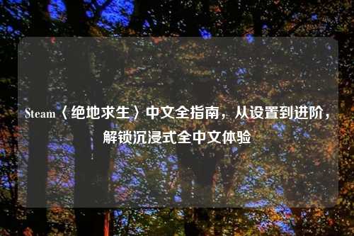 Steam〈绝地求生〉中文全指南，从设置到进阶，解锁沉浸式全中文体验