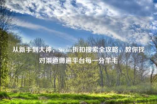 从新手到大神，Steam折扣搜索全攻略，教你找对渠道薅遍平台每一分羊毛