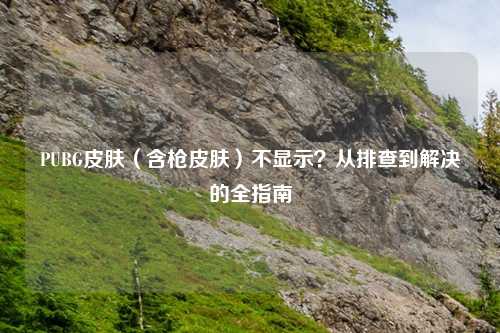 PUBG皮肤（含枪皮肤）不显示？从排查到解决的全指南