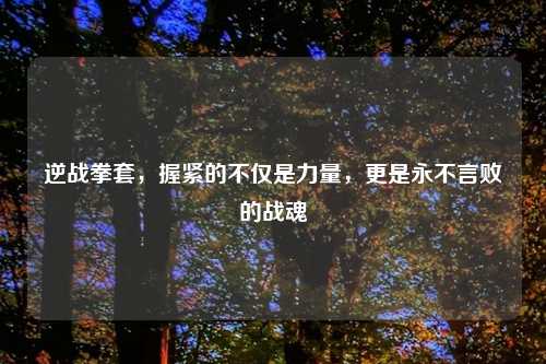 逆战拳套，握紧的不仅是力量，更是永不言败的战魂