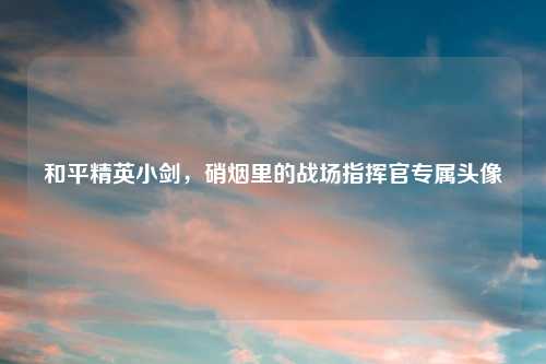 和平精英小剑，硝烟里的战场指挥官专属头像