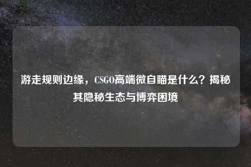 游走规则边缘，CSGO高端微自瞄是什么？揭秘其隐秘生态与博弈困境