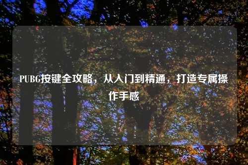 PUBG按键全攻略，从入门到精通，打造专属操作手感