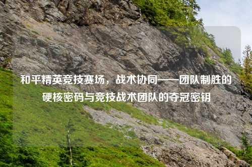 和平精英竞技赛场，战术协同——团队制胜的硬核密码与竞技战术团队的夺冠密钥