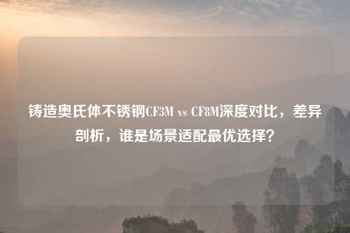 铸造奥氏体不锈钢CF3M vs CF8M深度对比，差异剖析，谁是场景适配更优选择？