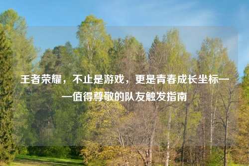 王者荣耀，不止是游戏，更是青春成长坐标——值得尊敬的队友触发指南