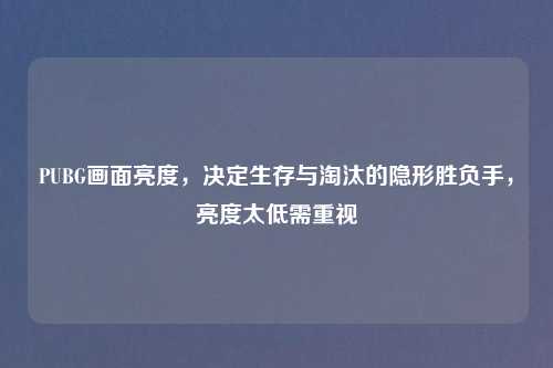 PUBG画面亮度，决定生存与淘汰的隐形胜负手，亮度太低需重视