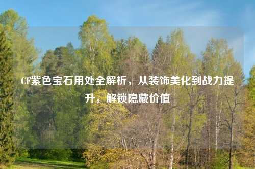 CF紫色宝石用处全解析，从装饰美化到战力提升，解锁隐藏价值