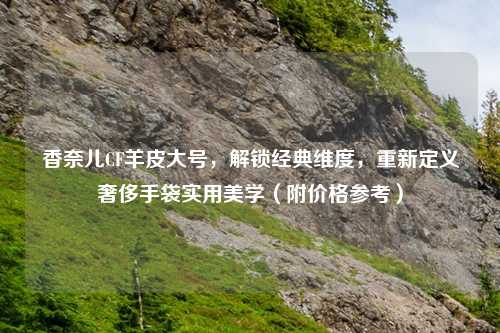 香奈儿CF羊皮大号，解锁经典维度，重新定义奢侈手袋实用美学（附价格参考）