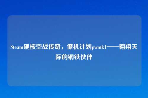 Steam硬核空战传奇，僚机计划pwmk1——翱翔天际的钢铁伙伴