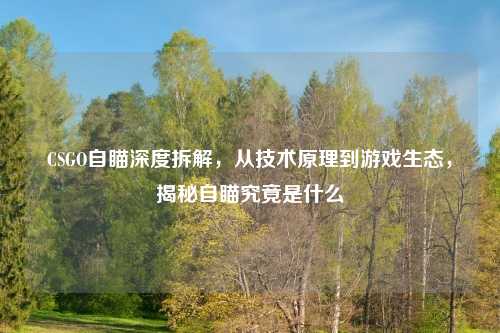 CSGO自瞄深度拆解，从技术原理到游戏生态，揭秘自瞄究竟是什么