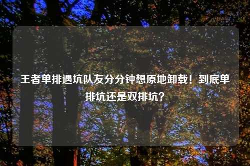 王者单排遇坑队友分分钟想原地卸载！到底单排坑还是双排坑？