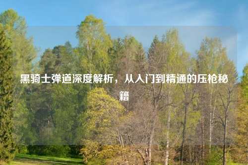 黑骑士弹道深度解析，从入门到精通的压枪秘籍