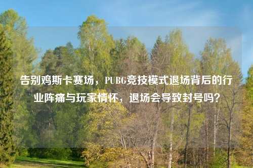 告别鸡斯卡赛场，PUBG竞技模式退场背后的行业阵痛与玩家情怀，退场会导致封号吗？