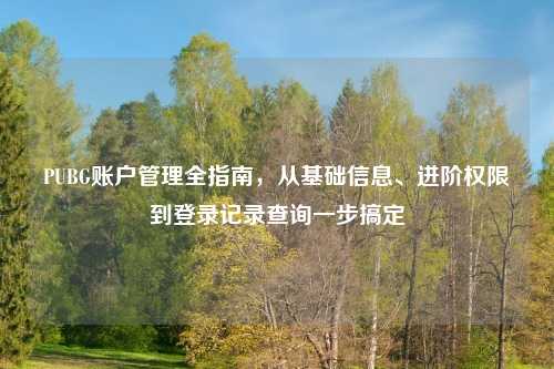 PUBG账户管理全指南，从基础信息、进阶权限到登录记录查询一步搞定