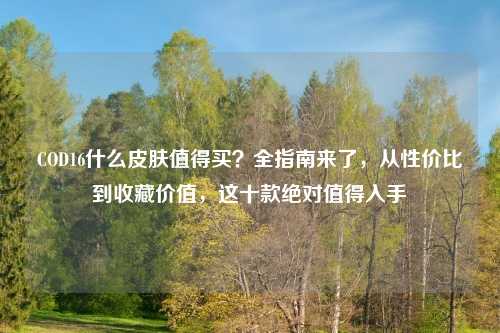 COD16什么皮肤值得买？全指南来了，从性价比到收藏价值，这十款绝对值得入手