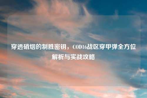 穿透硝烟的制胜密钥，COD16战区穿甲弹全方位解析与实战攻略