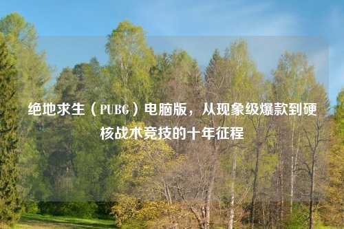 绝地求生（PUBG）电脑版，从现象级爆款到硬核战术竞技的十年征程