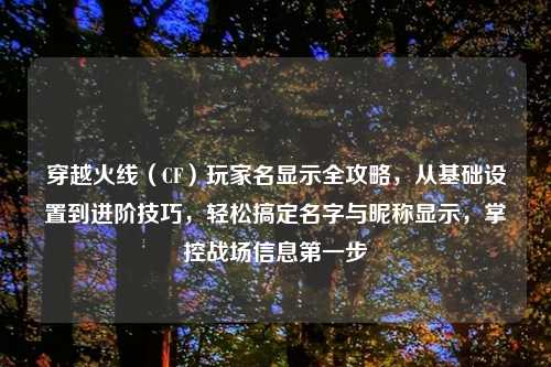 穿越火线（CF）玩家名显示全攻略，从基础设置到进阶技巧，轻松搞定名字与昵称显示，掌控战场信息之一步
