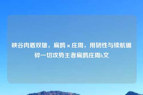 峡谷肉盾双雄，扁鹊×庄周，用韧性与续航碾碎一切攻势王者扁鹊庄周h文