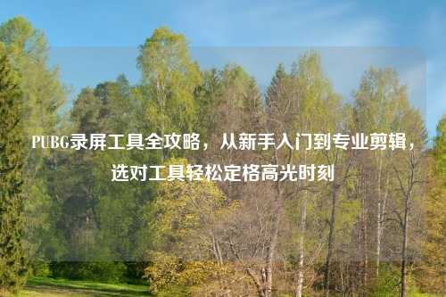 PUBG录屏工具全攻略，从新手入门到专业剪辑，选对工具轻松定格高光时刻