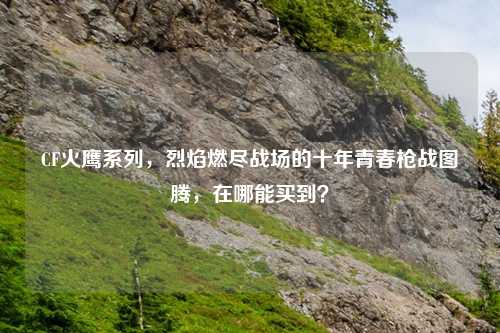 CF火鹰系列，烈焰燃尽战场的十年青春枪战图腾，在哪能买到？