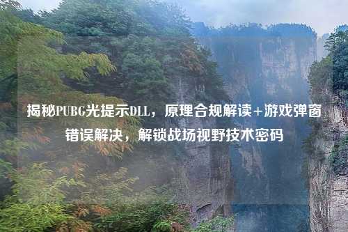揭秘PUBG光提示DLL，原理合规解读+游戏弹窗错误解决，解锁战场视野技术密码