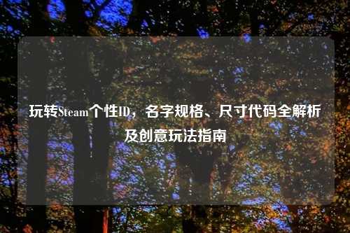玩转Steam个性ID，名字规格、尺寸代码全解析及创意玩法指南