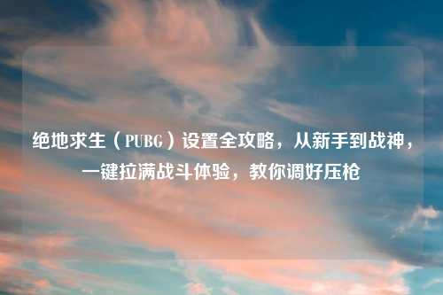 绝地求生（PUBG）设置全攻略，从新手到战神，一键拉满战斗体验，教你调好压枪