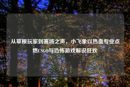 从草根玩家到赛场之声，小飞象以热血专业点燃CSGO与恐怖游戏解说狂欢