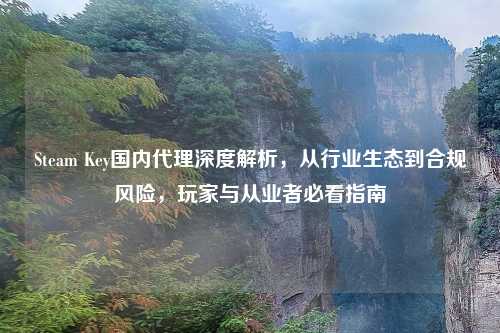 Steam Key国内     深度解析，从行业生态到合规风险，玩家与从业者必看指南