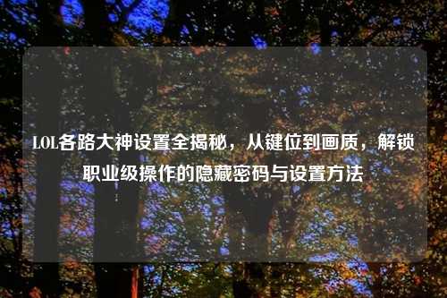 LOL各路大神设置全揭秘，从键位到画质，解锁职业级操作的隐藏密码与设置     
