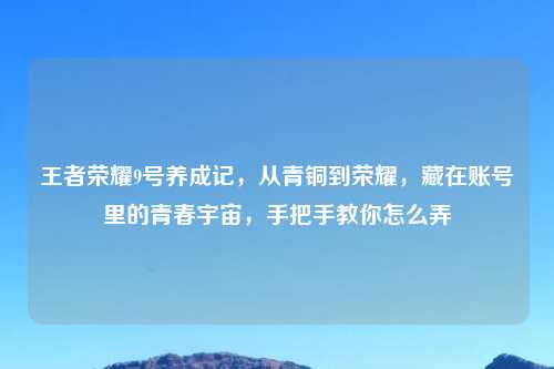 王者荣耀9号养成记，从青铜到荣耀，藏在账号里的青春宇宙，手把手教你怎么弄