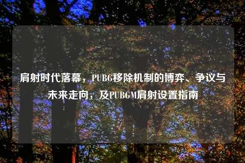 肩射时代落幕，PUBG移除机制的博弈、争议与未来走向，及PUBGM肩射设置指南