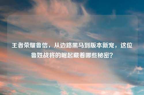 王者荣耀鲁信，从边路黑马到版本新宠，这位鲁姓战将的崛起藏着哪些秘密？