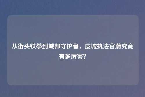 从街头铁拳到城邦守护者，皮城执法官蔚究竟有多厉害？