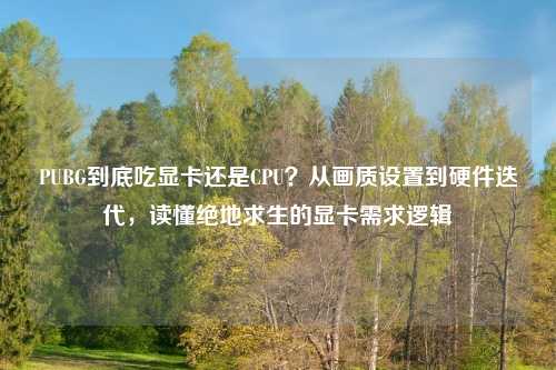 PUBG到底吃显卡还是CPU？从画质设置到硬件迭代，读懂绝地求生的显卡需求逻辑