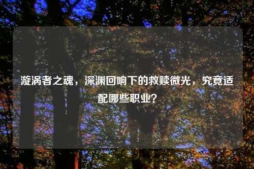 漩涡者之魂，深渊回响下的救赎微光，究竟适配哪些职业？