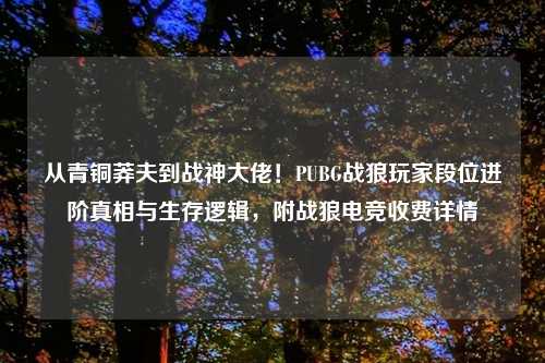 从青铜莽夫到战神大佬！PUBG战狼玩家段位进阶真相与生存逻辑，附战狼电竞收费详情