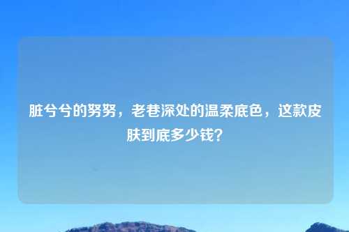 脏兮兮的努努，老巷深处的温柔底色，这款皮肤到底多少钱？