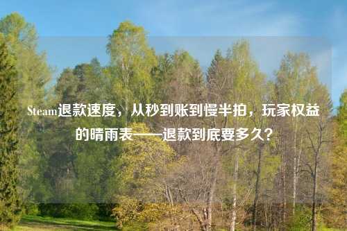 Steam退款速度，从秒到账到慢半拍，玩家权益的晴雨表——退款到底要多久？