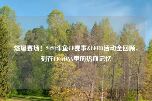 燃爆赛场！2020斗鱼CF赛事&CFHD活动全回顾，刻在CFerDNA里的热血记忆
