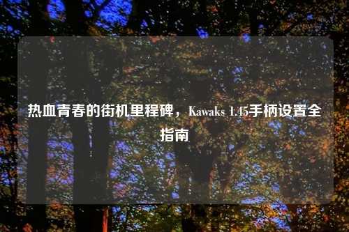 热血青春的街机里程碑，Kawaks 1.45手柄设置全指南