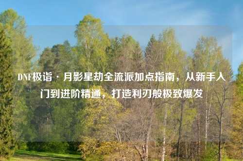 DNF极诣·月影星劫全流派加点指南，从新手入门到进阶精通，打造利刃般极致爆发