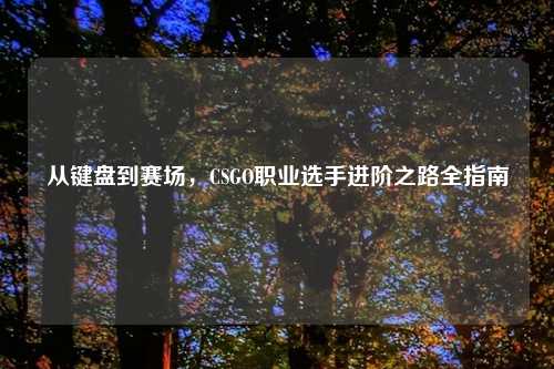从键盘到赛场，CSGO职业选手进阶之路全指南